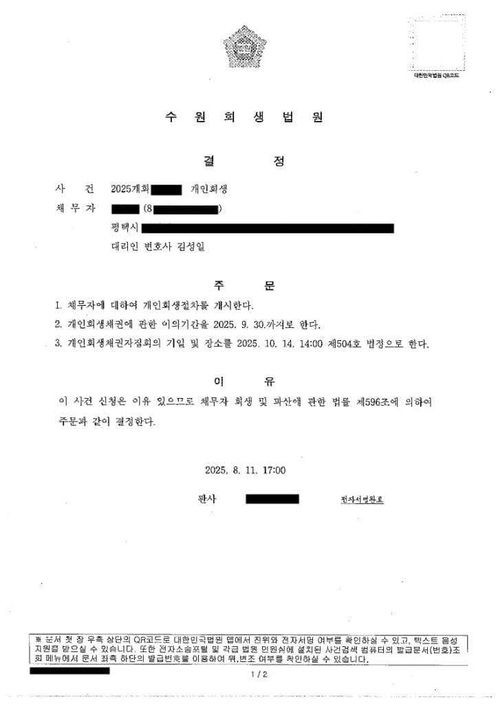 개인회생: 폐업 후 채무 잔존형 · 결정문 참조 이미지